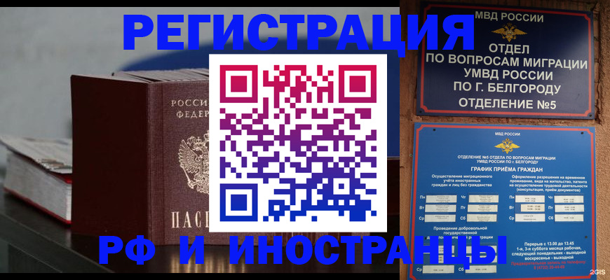 прописка 2025 в Оленегорске